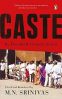 Caste Its Twentieth Century Avatar