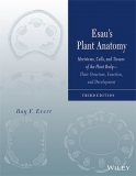 Plant Anatomy- Esau