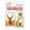 Rastogi Publications MODERN TEXT BOOK OF ZOOLOGY: VERTEBRATES (Z-3)